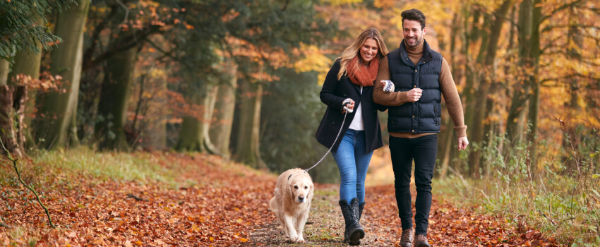 Couple se promène avec un chien